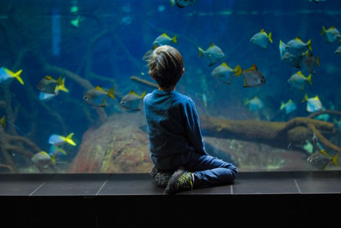 水族館の少年